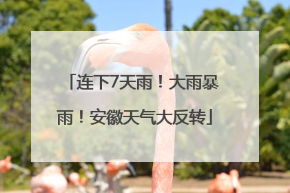 连下7天雨！大雨暴雨！安徽天气大反转