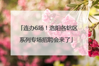 连办6场！洛阳各辖区系列专场招聘会来了