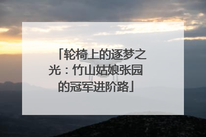 轮椅上的逐梦之光：竹山姑娘张园的冠军进阶路