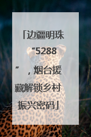 边疆明珠“5288”，烟台援藏解锁乡村振兴密码