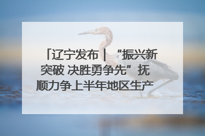 辽宁发布｜“振兴新突破 决胜勇争先”抚顺力争上半年地区生产总值增长7%左右