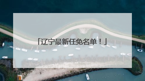 辽宁最新任免名单！