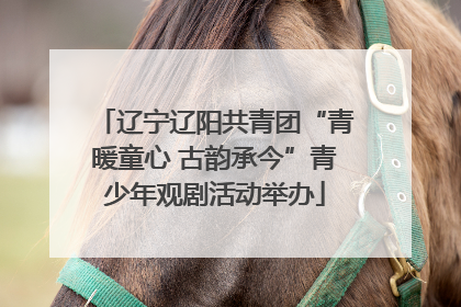 辽宁辽阳共青团“青暖童心 古韵承今”青少年观剧活动举办