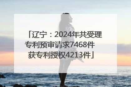 辽宁：2024年共受理专利预审请求7468件 获专利授权4213件