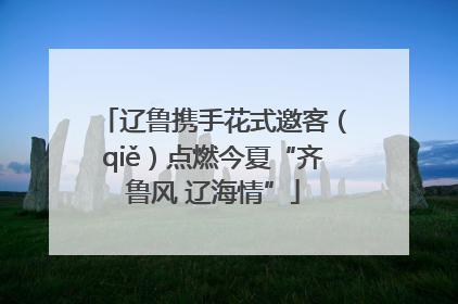辽鲁携手花式邀客（qiě）点燃今夏“齐鲁风 辽海情”