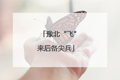 豫北“飞”来后备尖兵