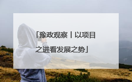 豫政观察丨以项目之进看发展之势