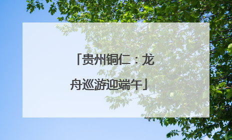 贵州铜仁：龙舟巡游迎端午