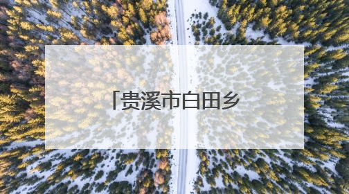 贵溪市白田乡：代表织密安全网，守牢假期安全关（图）