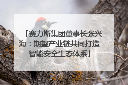 赛力斯集团董事长张兴海：期望产业链共同打造智能安全生态体系