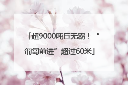 超9000吨巨无霸！“匍匐前进”超过60米