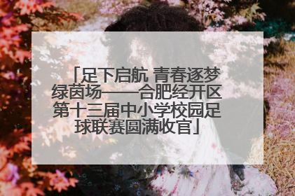 足下启航 青春逐梦绿茵场——合肥经开区第十三届中小学校园足球联赛圆满收官