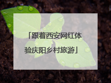 跟着西安网红体验庆阳乡村旅游