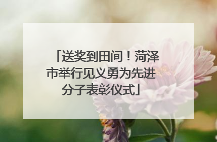 送奖到田间！菏泽市举行见义勇为先进分子表彰仪式