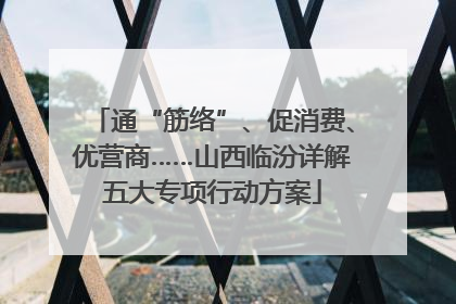 通“筋络”、促消费、优营商……山西临汾详解五大专项行动方案