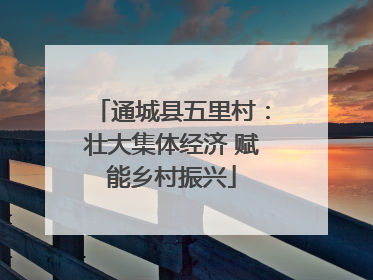 通城县五里村：壮大集体经济 赋能乡村振兴