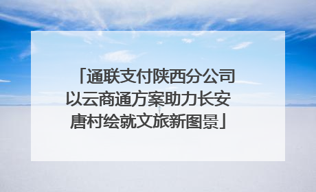 通联支付陕西分公司以云商通方案助力长安唐村绘就文旅新图景