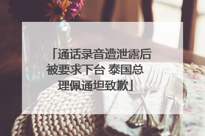 通话录音遭泄露后被要求下台 泰国总理佩通坦致歉