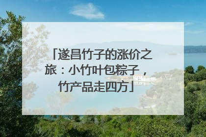 遂昌竹子的涨价之旅：小竹叶包粽子，竹产品走四方