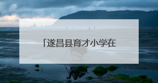 遂昌县育才小学在全国青少年打击乐展演浙江省赛获佳绩