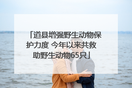 道县增强野生动物保护力度 今年以来共救助野生动物65只
