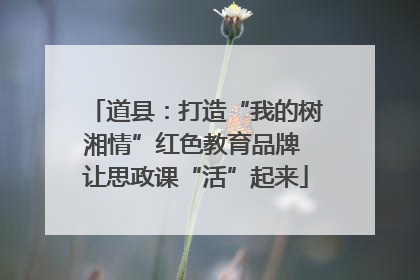 道县：打造“我的树湘情”红色教育品牌 让思政课“活”起来