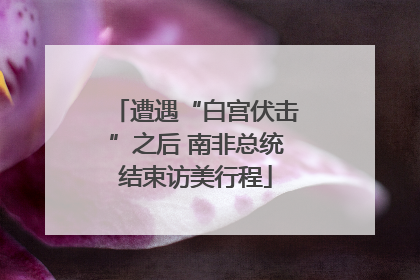 遭遇“白宫伏击”之后 南非总统结束访美行程