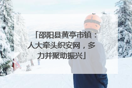 邵阳县黄亭市镇：人大牵头织安网，多力并聚助振兴