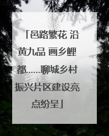 邑路繁花 沿黄九品 画乡鲤都……聊城乡村振兴片区建设亮点纷呈