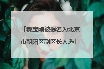 郝宝刚被提名为北京市朝阳区副区长人选