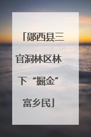 郧西县三官洞林区林下“掘金”富乡民