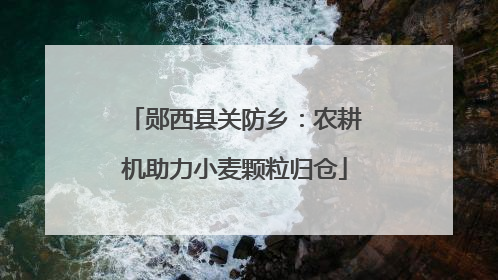 郧西县关防乡：农耕机助力小麦颗粒归仓