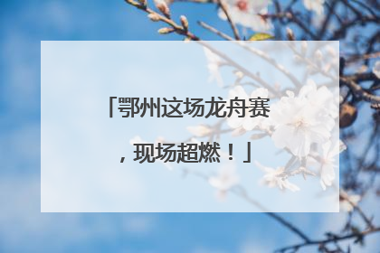 鄂州这场龙舟赛，现场超燃！