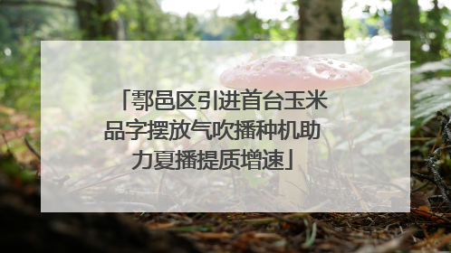 鄠邑区引进首台玉米品字摆放气吹播种机助力夏播提质增速