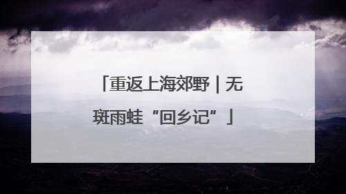 重返上海郊野｜无斑雨蛙“回乡记”