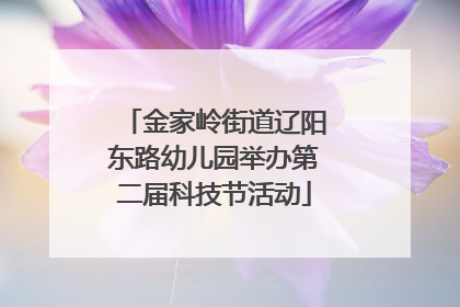 金家岭街道辽阳东路幼儿园举办第二届科技节活动