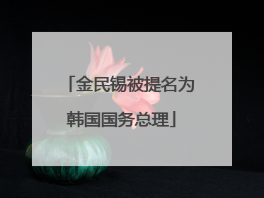 金民锡被提名为韩国国务总理