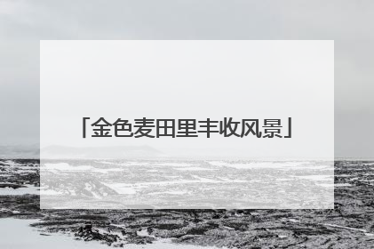 金色麦田里丰收风景