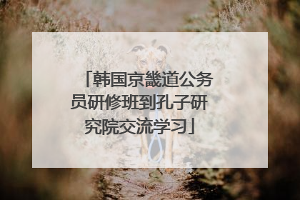 韩国京畿道公务员研修班到孔子研究院交流学习