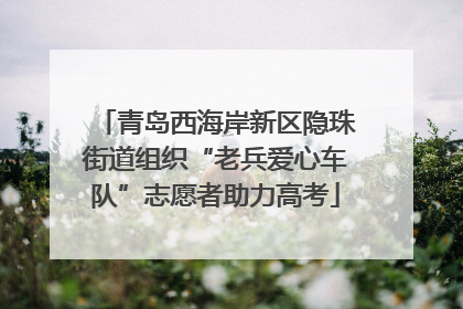 青岛西海岸新区隐珠街道组织“老兵爱心车队”志愿者助力高考