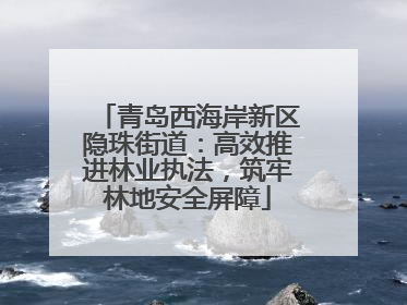 青岛西海岸新区隐珠街道：高效推进林业执法，筑牢林地安全屏障