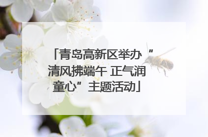 青岛高新区举办“清风拂端午 正气润童心”主题活动