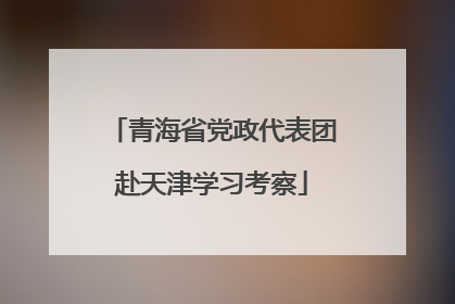 青海省党政代表团赴天津学习考察