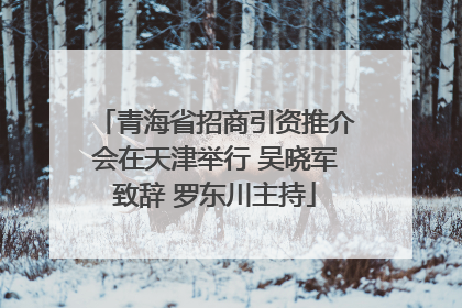青海省招商引资推介会在天津举行 吴晓军致辞 罗东川主持