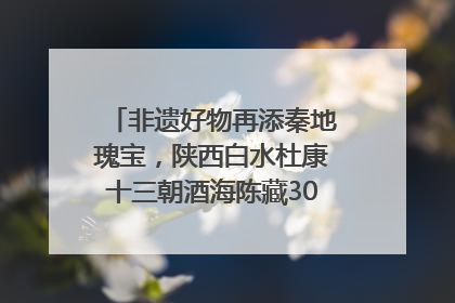 非遗好物再添秦地瑰宝，陕西白水杜康十三朝酒海陈藏30年别具一格
