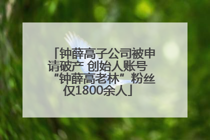 钟薛高子公司被申请破产 创始人账号“钟薛高老林”粉丝仅1800余人