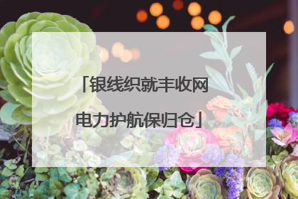 银线织就丰收网 电力护航保归仓