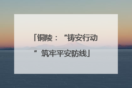 铜陵：“铸安行动”筑牢平安防线