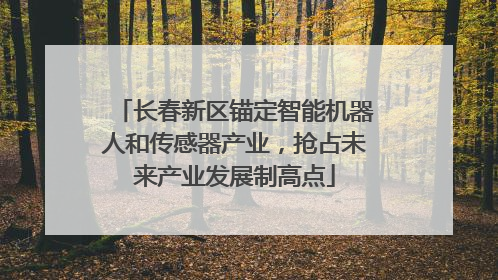 长春新区锚定智能机器人和传感器产业，抢占未来产业发展制高点