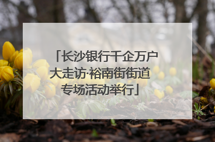 长沙银行千企万户大走访·裕南街街道专场活动举行
